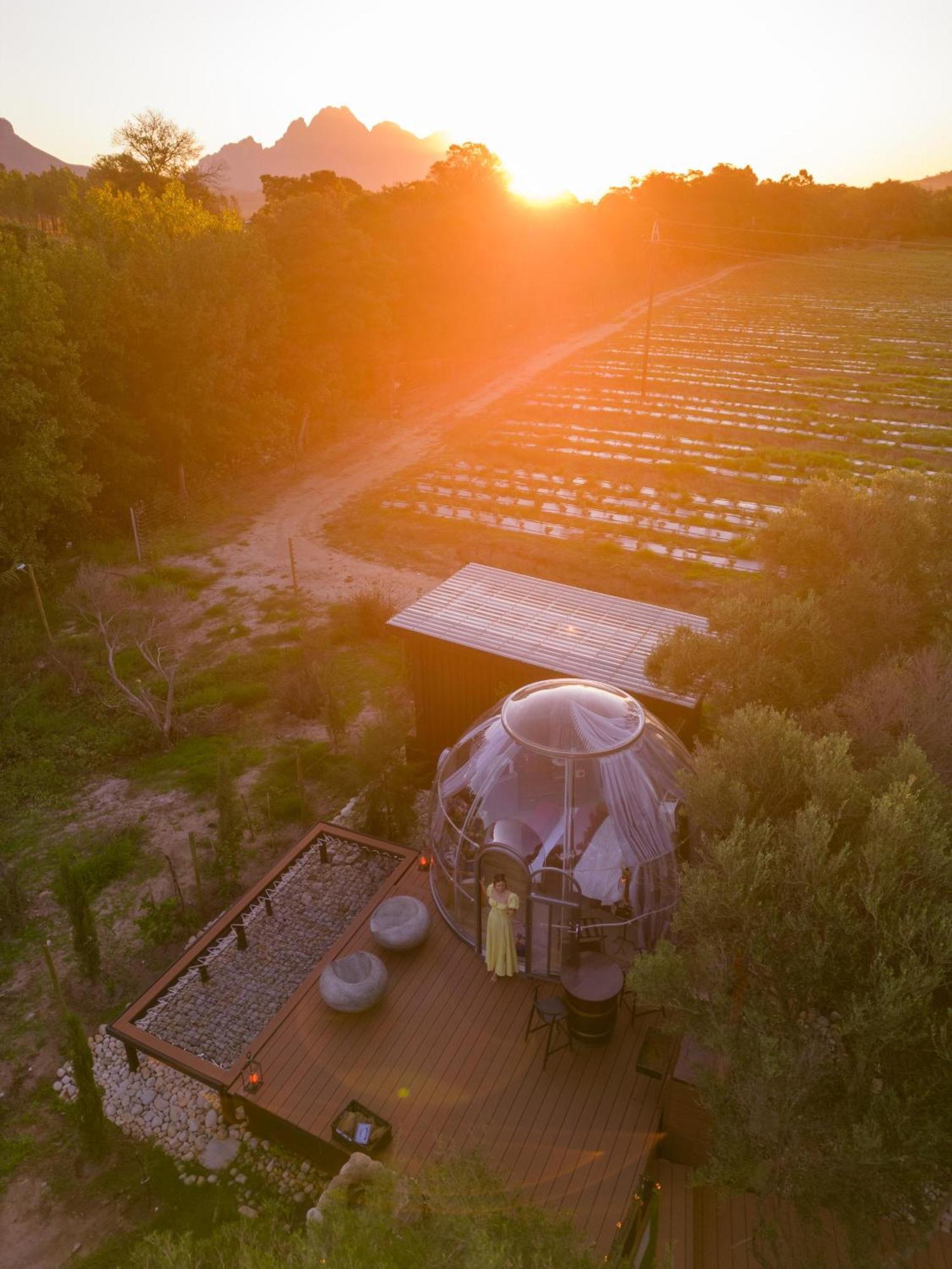 The Vino Dome By Once Upon A Dome ฟรันเชิค ภายนอก รูปภาพ